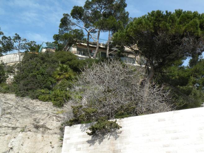  terrasses dans la verdure